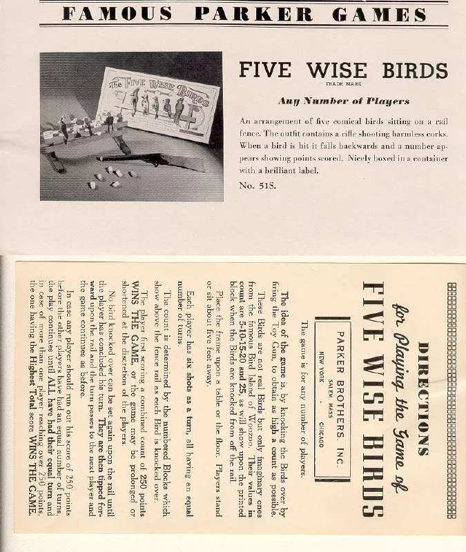 Mode d'emploi HASBRO FIVE WISE BIRDS IN ENGLISH AND SPANISH