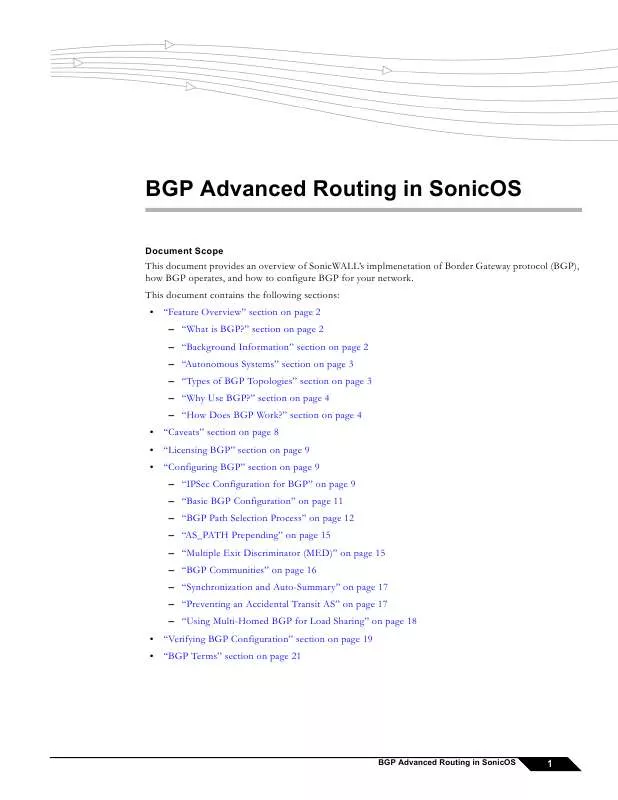 Mode d'emploi SONICWALL SONICOS 5.6.5 BGP ADVANCED ROUTING