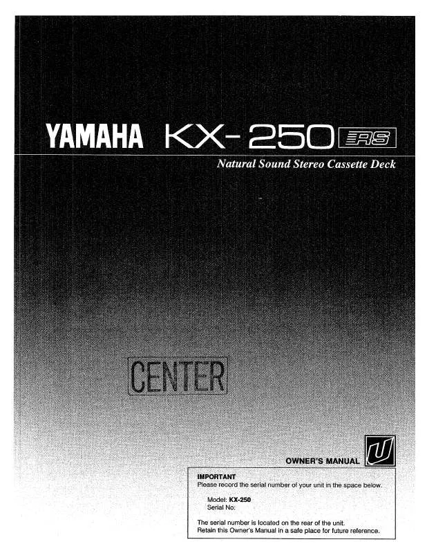 Mode d'emploi YAMAHA KX-250
