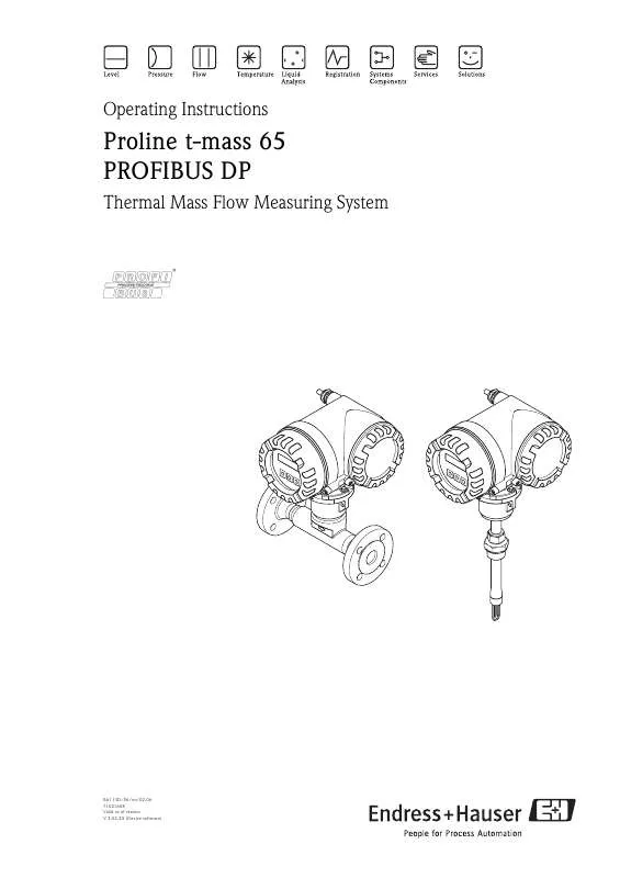 Mode d'emploi ENDRESS+HAUSER PROLINE T-MASS 65 PROFIBUS DP