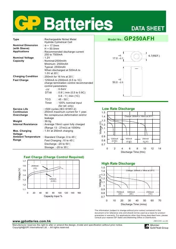 Mode d'emploi GP BATTERIES GP250AFH