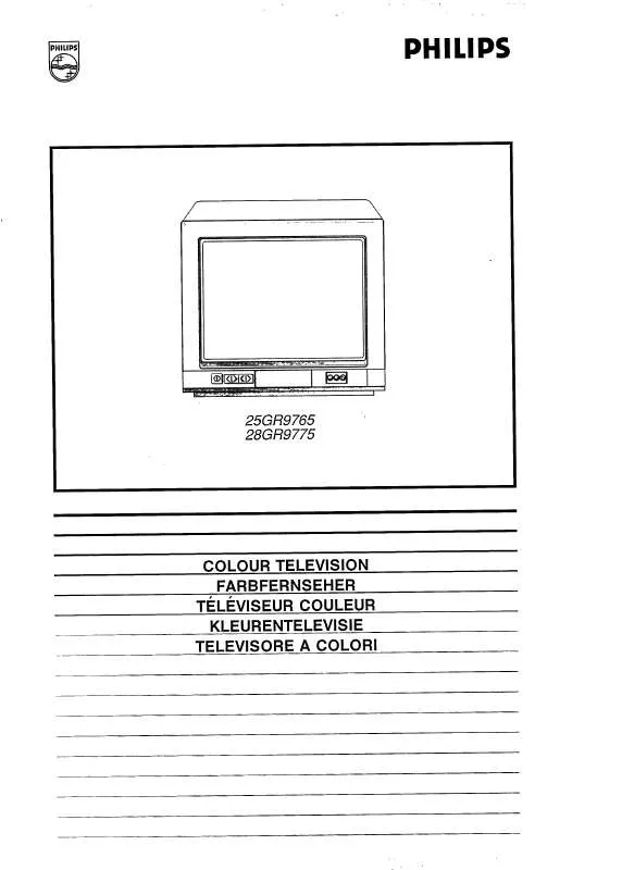 Mode d'emploi PHILIPS 25GR9765