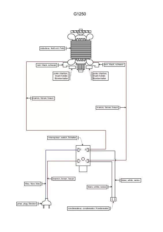 Mode d'emploi RYOBI G1250