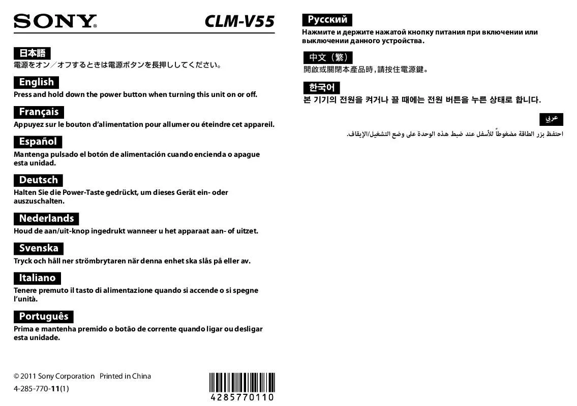 Mode d'emploi SONY CLM-V55BDL