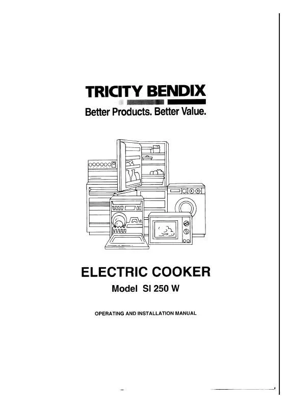 Mode d'emploi TRICITY SI250W